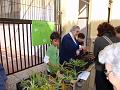 Falla_colegio 022